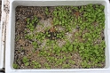 IMG_7215