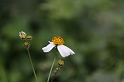 IMG_1510