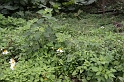 IMG_1512