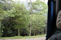 IMG_1520