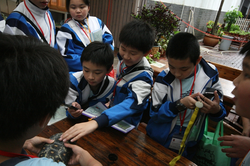 IMG_4919.JPG