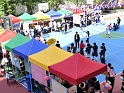_DSC8420a